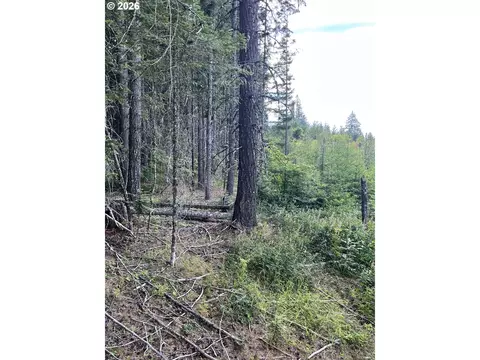 00 Winchester, Appleton, WA 98602 photo 4