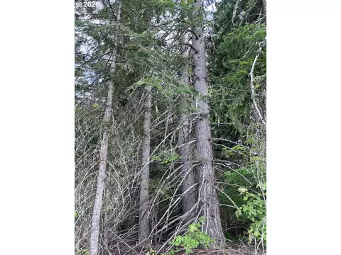 00 Winchester, Appleton, WA 98602 photo 13