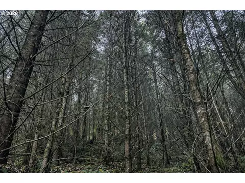 Erickson Rd, Eugene, OR 97402 photo 13