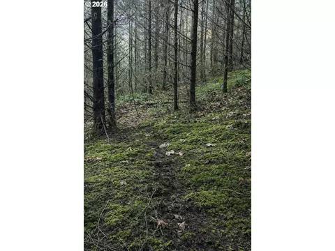 Erickson Rd, Eugene, OR 97402 photo 15