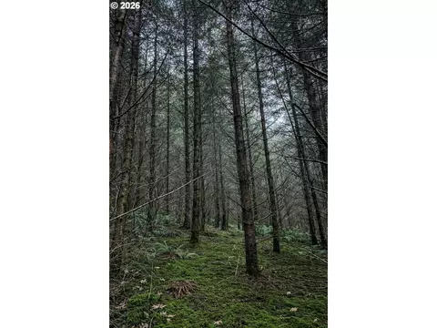 Erickson Rd, Eugene, OR 97402 photo 12