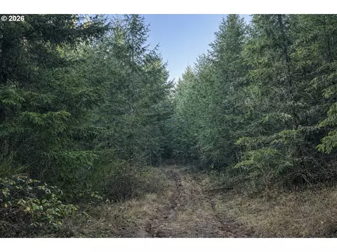 Erickson Rd, Eugene, OR 97402 photo 8