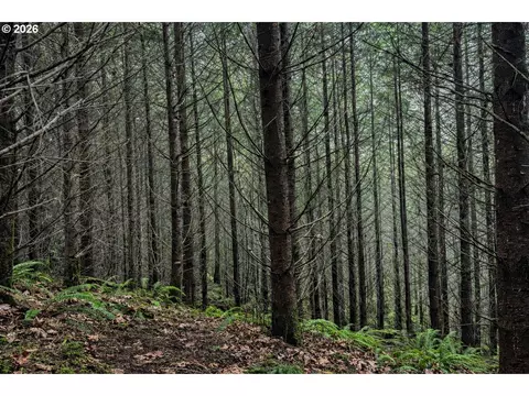 Erickson Rd, Eugene, OR 97402 photo 14