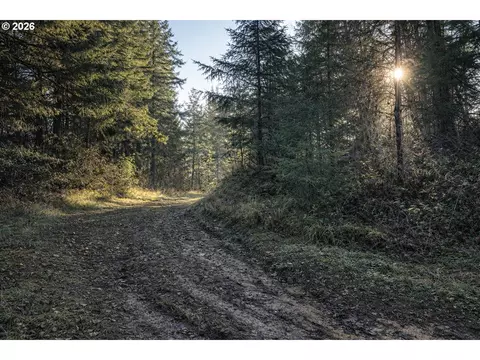 Erickson Rd, Eugene, OR 97402 photo 9