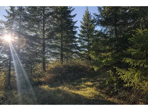 Erickson Rd, Eugene, OR 97402 photo 7