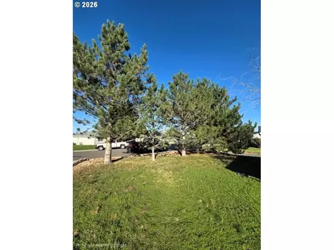 Exterior - 225 NE Marshall Loop, Boardman, OR 97818 photo 3 of 4