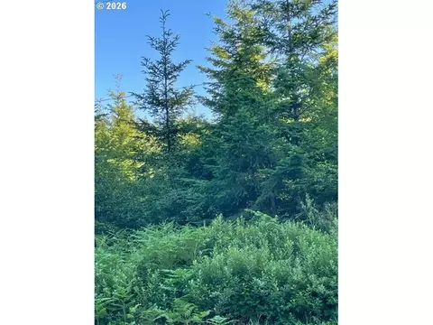 00 SE Wildcat Mountain Dr, Sandy, OR 97055