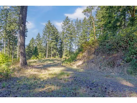 alder branch, Springfield, OR 97478 photo 2