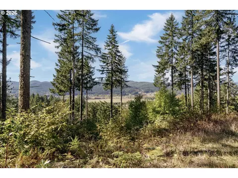 alder branch, Springfield, OR 97478 photo 3