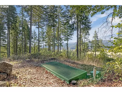 alder branch, Springfield, OR 97478 photo 7