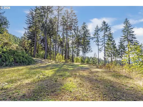 alder branch, Springfield, OR 97478 photo 4