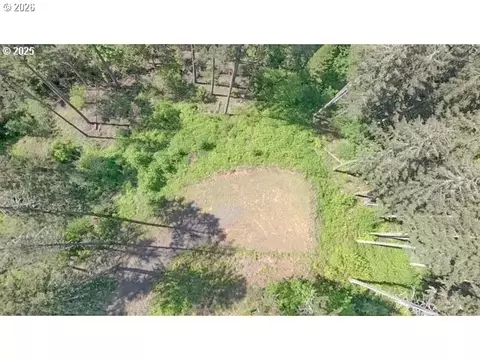 alder branch, Springfield, OR 97478 photo 9