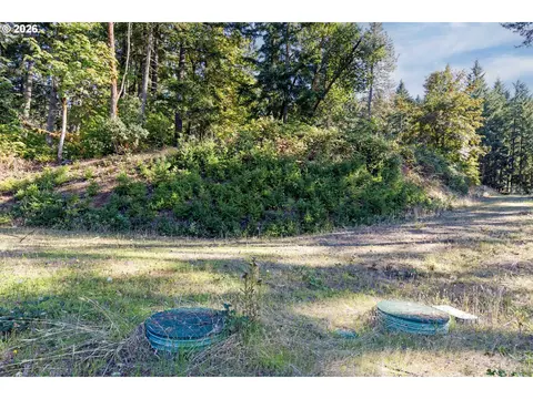 alder branch, Springfield, OR 97478 photo 8