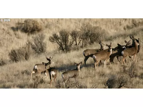 Other - 40641 Highway 20, Burns, OR 97720 photo 13 of 15