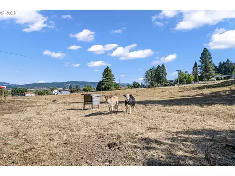 Other - 785 Mathis Hill Rd, Yoncalla, OR 97499 photo 15 of 17