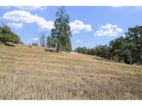 Other - 785 Mathis Hill Rd, Yoncalla, OR 97499 photo 16 of 17