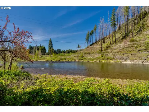 View/Area - 91082 Leashore Dr, Vida, OR 97488 photo 3 of 3