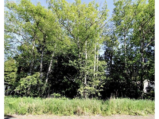 32206 R Pl, Ocean Park, WA 98640