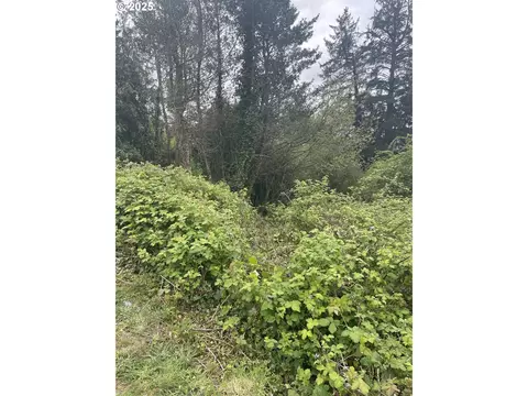 bay view - 8th st, Bay City, OR 97107