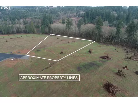 231 Ash Mountain Dr #3, Castle Rock, WA 98611