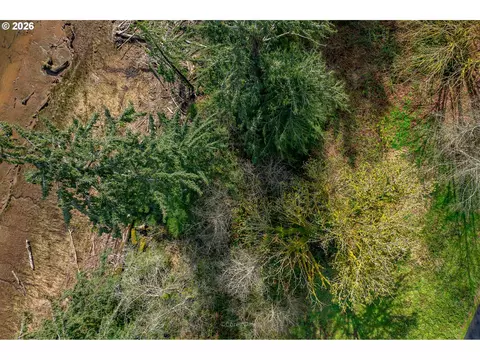 riverway dr, Nehalem, OR 97131 photo 11
