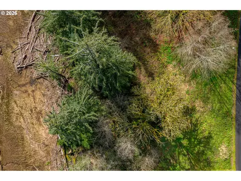 riverway dr, Nehalem, OR 97131 photo 12