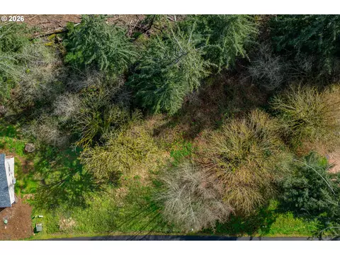riverway dr, Nehalem, OR 97131 photo 10