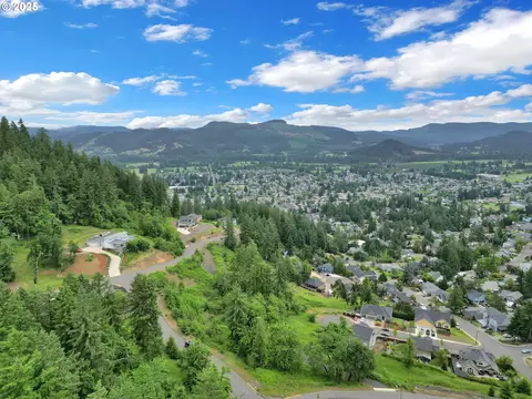 Forest Ridge Dr, Springfield, OR 97478 photo 10