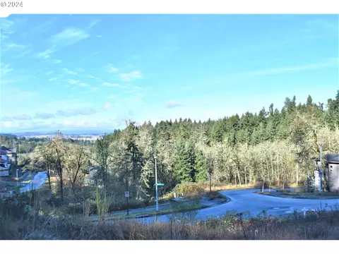 Mountain Ash, Eugene, OR 97405