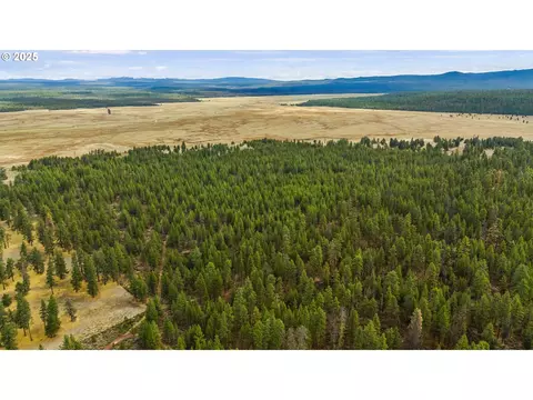 Bare Land, Chiloquin, OR 97624 photo 6