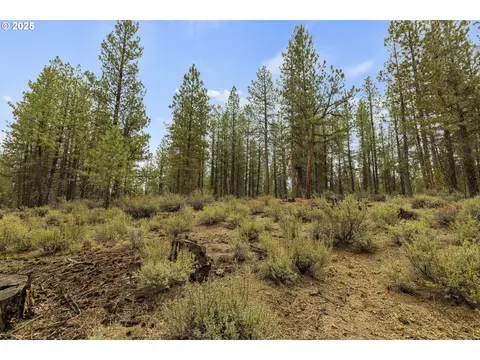 Bare Land, Chiloquin, OR 97624 photo 25