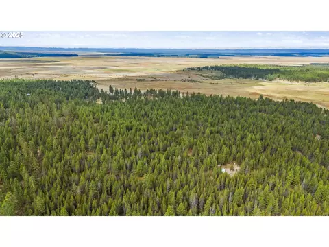 Bare Land, Chiloquin, OR 97624 photo 3