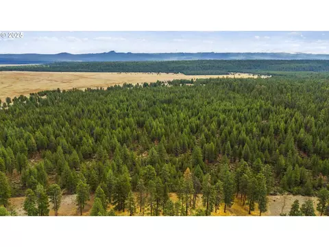 Bare Land, Chiloquin, OR 97624 photo 12