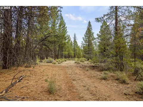 Bare Land, Chiloquin, OR 97624 photo 21