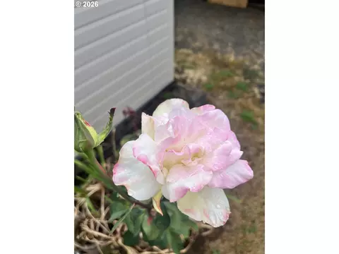 Other - 1453 C St, Springfield, OR 97477 photo 2 of 5