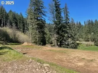 62 Wallace Creek Rd, Carson, WA 98610