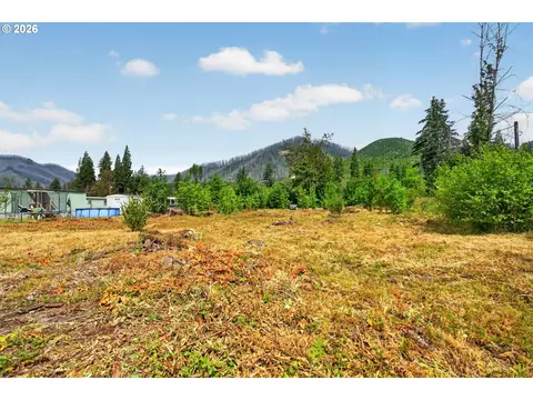 51790 Echo St, Blue River, OR 97413 photo 2