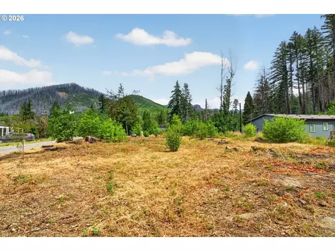 51790 Echo St, Blue River, OR 97413 photo 1