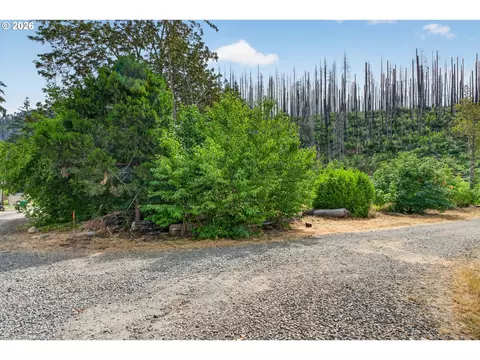 51790 Echo St, Blue River, OR 97413 photo 7