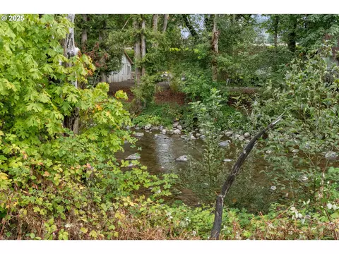 45678 N Gate Creek Rd, Vida, OR 97488