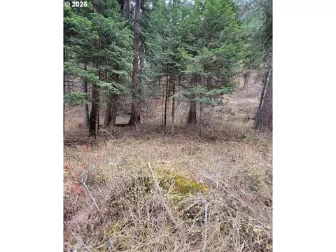 Chief Joseph Way, Imnaha, OR 97842