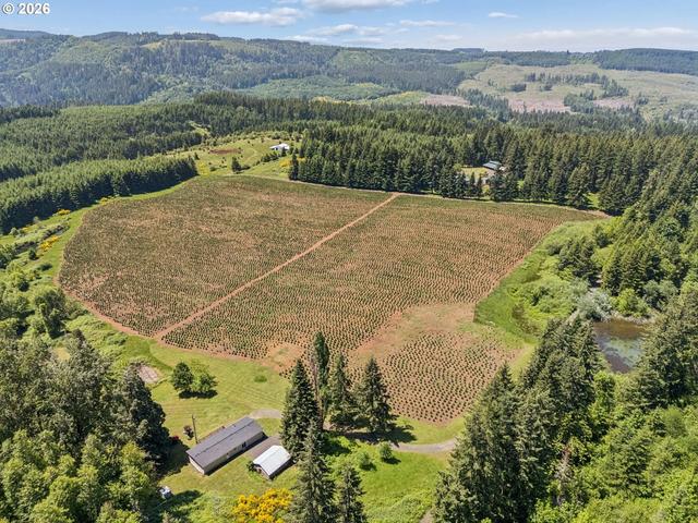 21000 NE Strawberry Flats Ln, Scotts Mills, OR 97375
