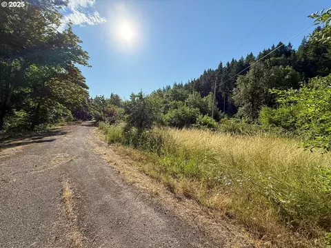 Row River Rd, Dorena, OR 97434 photo 9
