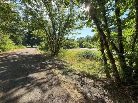 Row River Rd, Dorena, OR 97434 photo 12