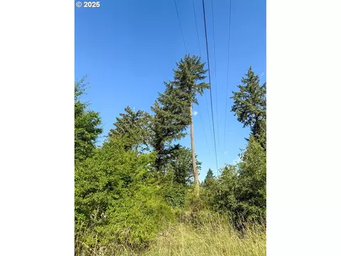 Row River Rd, Dorena, OR 97434 photo 4