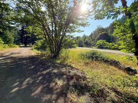 Row River Rd, Dorena, OR 97434 photo 11