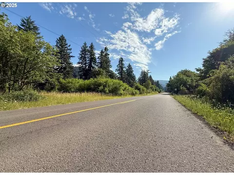 Row River Rd, Dorena, OR 97434 photo 14