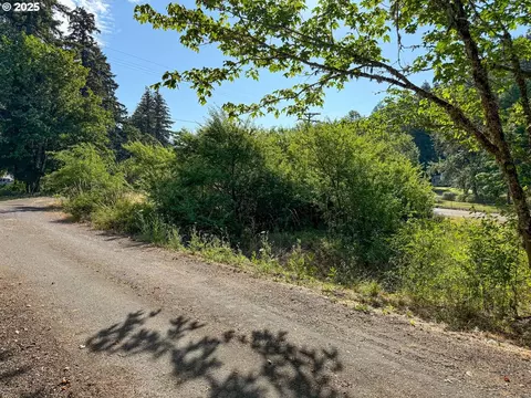 Row River Rd, Dorena, OR 97434 photo 10