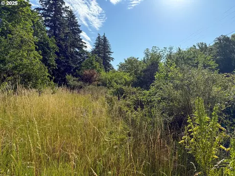 Row River Rd, Dorena, OR 97434 photo 5
