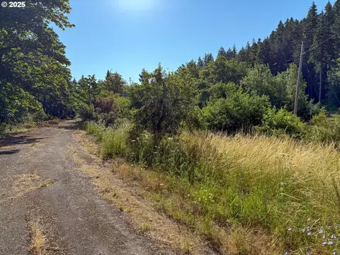 Row River Rd, Dorena, OR 97434 photo 8